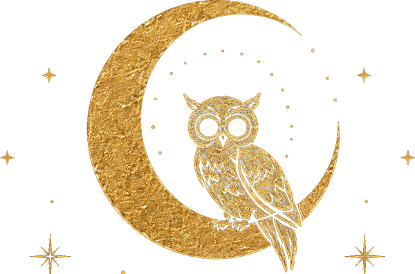 The Ember & Owl